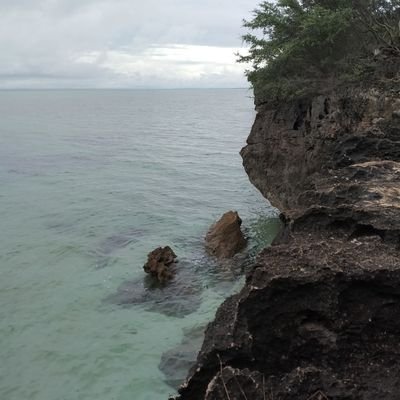 Dadudz29's profile picture. 