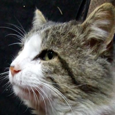 Ive_Allen's profile picture. ⏪♊
L.N.🍒💕
Rock lover Deathbat💀💙
EXO-L 👉💙
::Yeolmae:: 💕
 Thinkerbell ✨