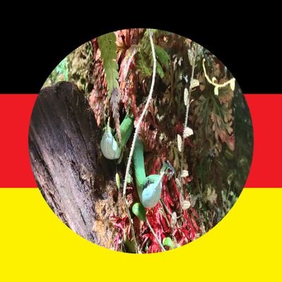 BeRi9770's profile picture. 