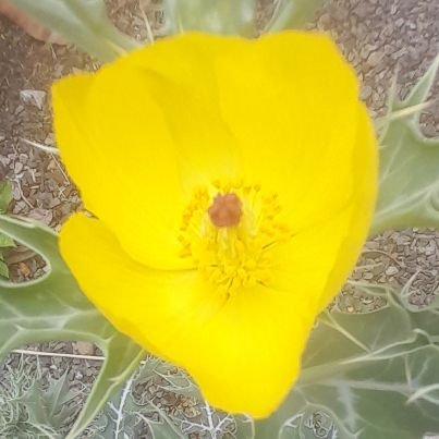 BinodKu77754508's profile picture. 