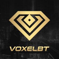 VoxelBT (@voxelbt) 's Twitter Profile