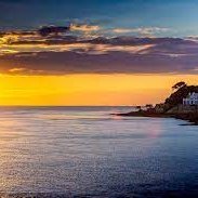 veille_smp's profile picture. Veille santé mentale et psy