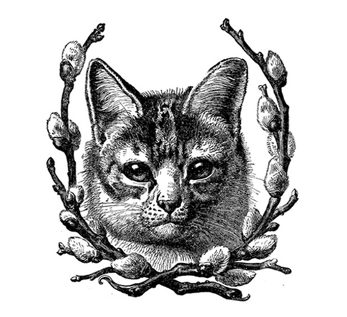 SnoozerLoserNY's profile picture. Wake up your Wardrobe.               
http://t.co/LQAAUW8rOL