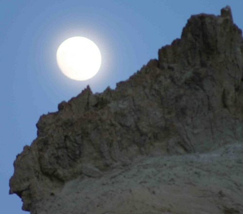 JulieLaity's profile picture. 