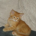 Michelle Ham - @Michelle_Casper - Twitter