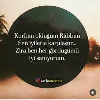 Azgin boğa (@ilhan49109064) Twitter profile photo