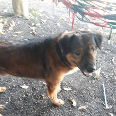 Tik275810553895's profile picture. ล้มลุก