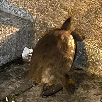 as313004's profile picture. 