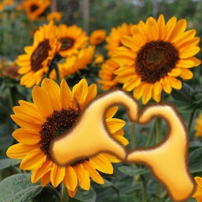 Stefistwiederda's profile picture. Bin hier um Spaß zu haben !
Mädels dürfen sich auch gerne melden, solange sie nicht nur Bilder verkaufen wollen.