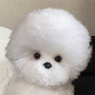推し事が生きるチカラ❤ ソジュン沼〜の今はスヒョン沼から抜け出せずにいます❣️ 2024アジアツアーの横浜に参加して、スヒョンペンの皆さんに親切にして頂き、その優しさに感動🥹 スヒョンペンとしては🔰ですが宜しくお願いします❣️