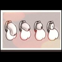 humilislave (@portemonay) 's Twitter Profile