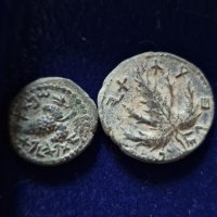 Fighting Anti semitism (@anthony45131035) 's Twitter Profile