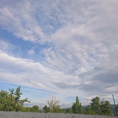 SamuelGill61654's profile picture. 