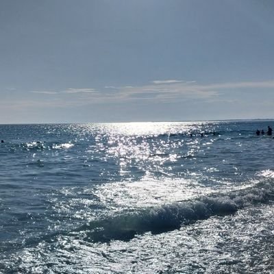 RenatoAlexandr6's profile picture. uma vez Flamengo sempre Flamengo 
🔴⚫️🏆