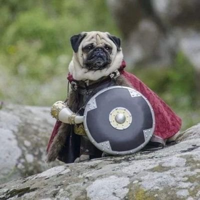 ZbychuStasko69's profile picture. Menista, wytykacz groteski i zachowań odklejonych.