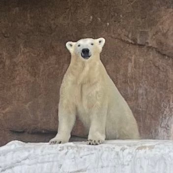 おんじゅんさんのプロフィール画像