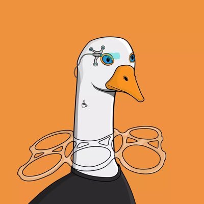 Crazy Goose Flock Profile