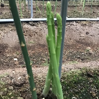 creamsodaggggg's profile picture. 