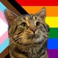 Fishtopher and Friends (@mrfishtopher) 's Twitter Profile
