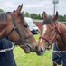 wendy.burdett (@wendy_burdett) Twitter profile photo wendy.burdett (@wendy_burdett) Twitter profile photo
