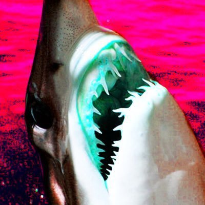 corruptwave.bsky.socialさんのプロフィール画像