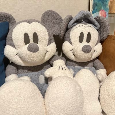 Tokyo Disney Resortが好き🏰🚢月に2回くらい、ダッフィーとミッキーに会いに行きます。 ＊通常アカウント乗っ取られてしまったのでこれを機にディズニーアカウントオープン🔑