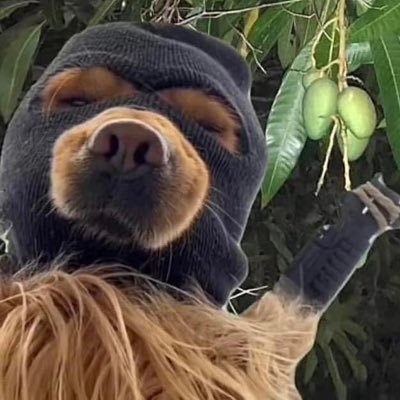 OmarrJJA's profile picture. mr. bean