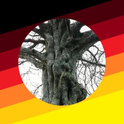 #Patriot. Fan davon, daß Gesetze eingehalten werden, auch das Grundgesetz und gerne auch in Krisen das Völkerrecht.