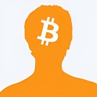 Bitcoin Memes(@BitcoinMemes_) 's Twitter Profile Photo
