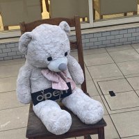 ソーシャル疎開 (@deoxyriboo) Twitter profile photo