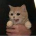 brrrrrrrrrr (@coldishz) Twitter profile photo brrrrrrrrrr (@coldishz) Twitter profile photo