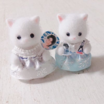 ぽ こさんのプロフィール画像