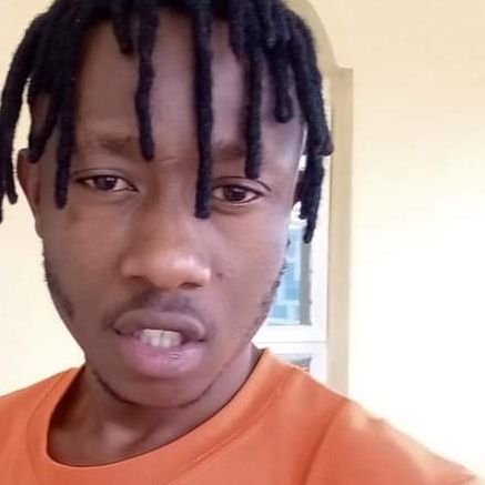 reborn_rogue's profile picture. Arc Angel