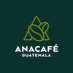 Anacafé (@CafedeGuatemala) Twitter profile photo