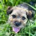 PositivelyPosy (@positivelyposy) Twitter profile photo PositivelyPosy (@positivelyposy) Twitter profile photo