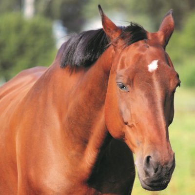 BeastGriffin's profile picture. sky