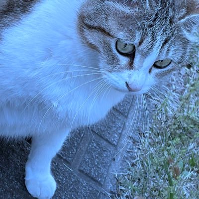 kP8zfEGNx9JkL9K's profile picture. お友達募集中