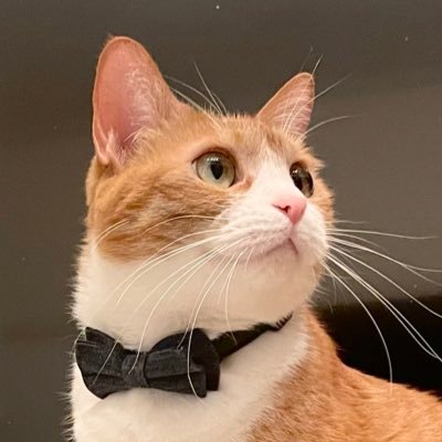 きなこさんのプロフィール画像