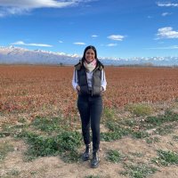 Ornella | IT Recruiter 🇦🇷 (@ornetoledoit) 's Twitter Profile