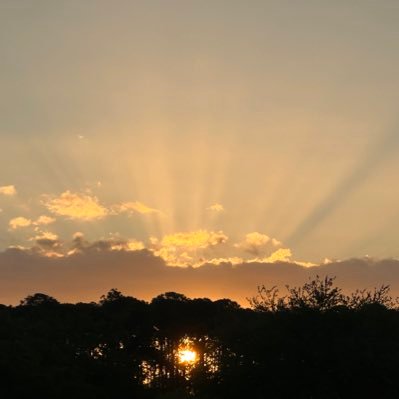 bme92620rkg's profile picture. 