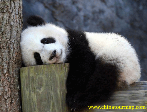 MonicasHouse's profile picture. 