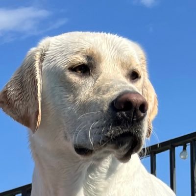 Jacob02USMC's profile picture. 