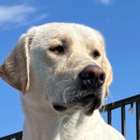 Jacob (@jacob02usmc) 's Twitter Profile Photo Jacob (@jacob02usmc) 's Twitter Profile Photo