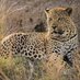 Muhiga Safaris (@muhigasafaris) Twitter profile photo Muhiga Safaris (@muhigasafaris) Twitter profile photo