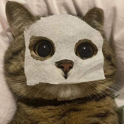 Meiさんのプロフィール画像