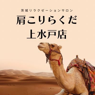 🐪創業19年長く愛されるリラクサロン🐪ホットペッパーGoogle口コミ900件超🐫新しい仲間を募集中！！