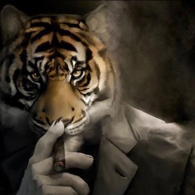 tristanswatsky's profile picture. #keither shmotty doo