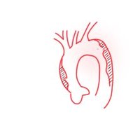 Acute Aortic Syndrome Interconnect in Cambridge (@aorticam) 's Twitter Profile