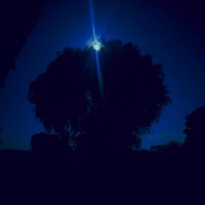 ofentse9119's profile picture. https://t.co/y5YDpxIZXe