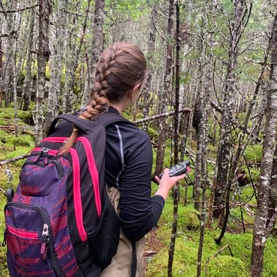 juliaball014's profile picture. Currently working a shared position as Conservation Intern with @NCC_CNC & @Qalipu2011 🦇🍁🌿🪶